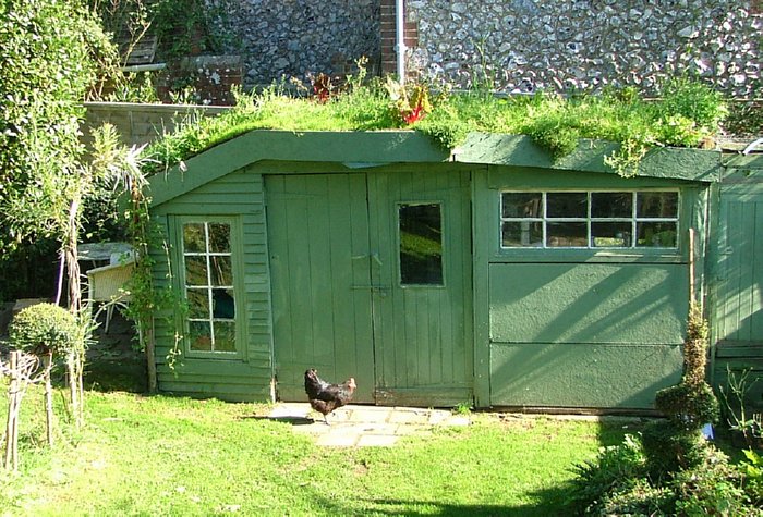 green roofed shed